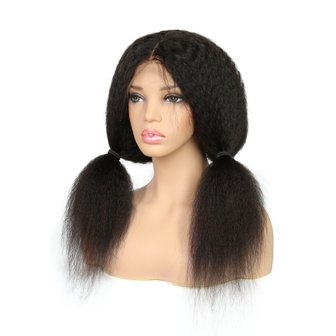 Brazilian Remy Kinky Straight Lace Front Wig