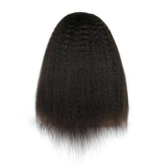 Brazilian Remy Kinky Straight Lace Front Wig