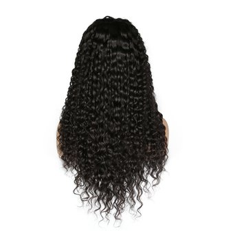 Brazilian Remy Deep Wave Lace Front Wig