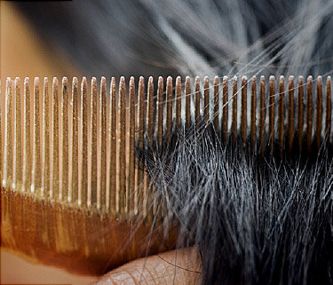 10 Easy Ways To Prevent Split Ends 10 Easy Ways To Prevent Split Ends