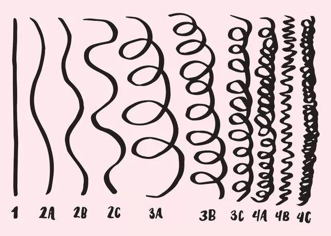 How to Figure Out Your Curl Type and Why It Actually Helps How to Figure Out Your Curl Type and Why It Actually Helps
