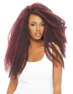 Janet Collection  2X Afro Twist Braid 24 inch
