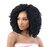 FreeTress Braid 2X Nubi Spring Twist 