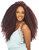 Janet Collection  2X Afro Twist Braid 24 inch