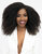 Janet Collection Encore La Vie 4C AFRO KINKY Clip In 12 inch 8PCS 