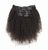 Brazilian Afro Kinky Curly Clip-Ins
