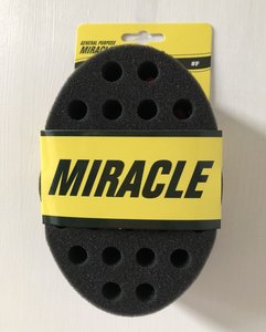 General Purpose Miracle Sponge Brush