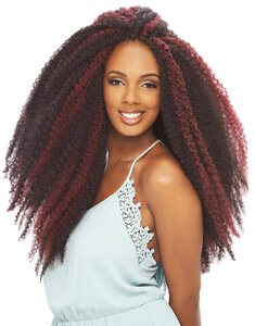 Janet Collection  2X Afro Twist Braid 24 inch