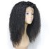 Brazilian Remy Kinky Curly Lace Front Wig_