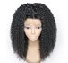 Brazilian Remy Kinky Curly Lace Front Wig_