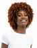 Janet Collection Natural Curly  - Natural Afro Kane Wig_