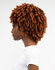 Janet Collection Natural Curly  - Natural Afro Kane Wig_