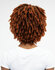 Janet Collection Natural Curly  - Natural Afro Kane Wig_