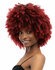 Janet Collection Natural Curly  - Natural Afro Kane Wig_