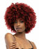 Janet Collection Natural Curly  - Natural Afro Kane Wig_