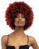 Janet Collection Natural Curly  - Natural Afro Kane Wig_