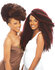 Janet Collection  2X Afro Twist Braid 24 inch_