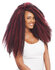 Janet Collection  2X Afro Twist Braid 24 inch_