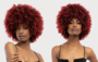 Janet Collection Natural Curly  - Natural Afro Kane Wig_