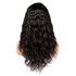 Brazilian Remy Natural Wave Lace Front Wig_