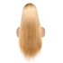 Brazilian Remy Straight Lace Front Wig_
