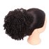 Curly Chignon 8 inch_