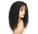 Brazilian Remy Kinky Curly Lace Front Wig_