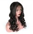 Brazilian Remy Loose Wave Lace Front Wig_