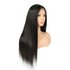 Brazilian Remy Straight Lace Front Wig_